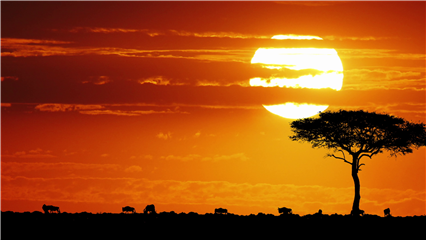 China News: From the Loess Plateau to the East African Plateau