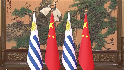 China News: Xi calls for cooperation with Uruguay in multiple areas