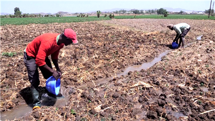 International News: Inadequate water access fuels tensions between Nigerian farmers, herderss