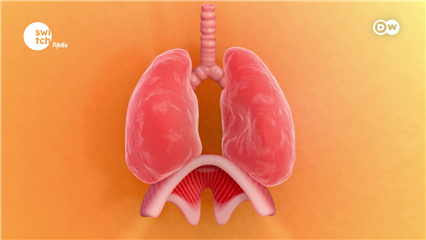 DWs In Good Shape: Difficulty breathing, a painful cough? Lungs' warning signs