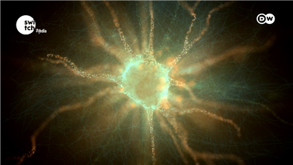 DW's Tomorrow Today: How stress makes your mind go blank: The science behind it 