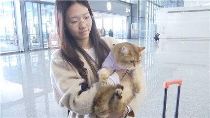 China News: Pet-friendly travel in China moves from novelty to structured service