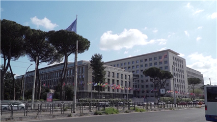 International News: Mideast tensions disrupt global food, energy supply chains FAO