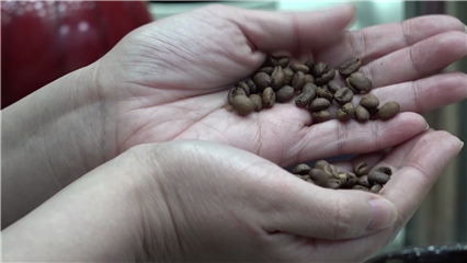 International News: African coffee finds growing market in China