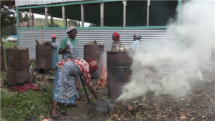 International News: Eco-friendly briquette project empowers women in eastern DRC