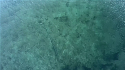 International News: Algeria turns to smart solutions to secure water future