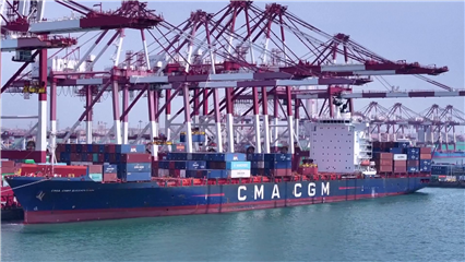 China News: Qingdao Port opens new shipping route to boost China-Africa trade