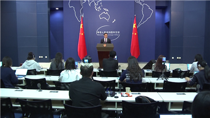 China News: China expects zero-tariff treatment to promote trade, cooperation with African countries spokesman