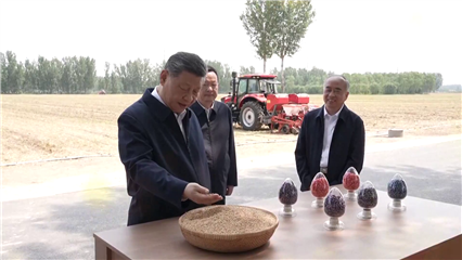 China News: Xi inspects eastern Chinese villages, urging solid measures to modernize agriculture, rural areas