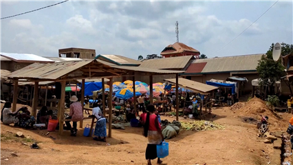 International News: Ebola outbreak disrupts food supplies, threatens livelihoods in DR Congo