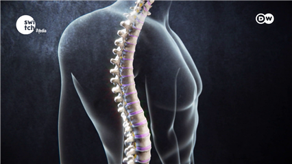 DWs In Good Shape: The best things you can do for back pain