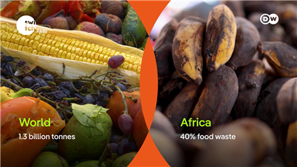 DW's Eco Africa: The fight against food waste in Uganda