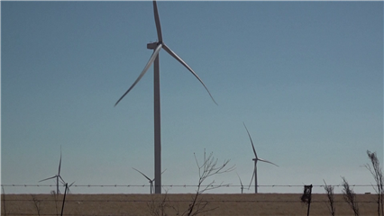 International News: South Africa's largest wind farm begins generating power
