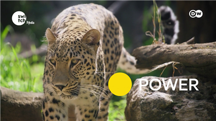 DW's Eco Africa: Old wisdoms, bold ideas in Africa
