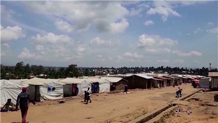 International News: DR Congo reports over 7,200 Ebola cases despite overall downward trend